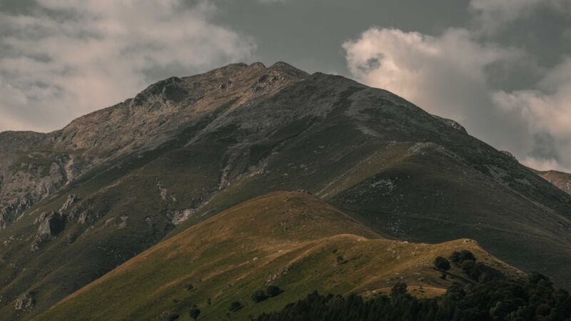 pexels-francesco-ungaro-18685949