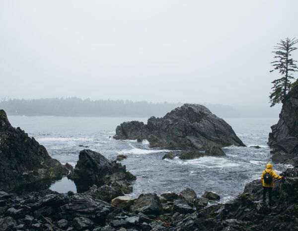 pexels-rachel-claire-4992807