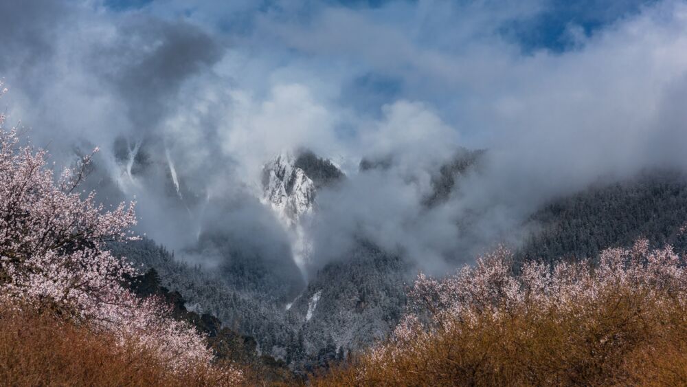 pexels-zhou-shen-18656639