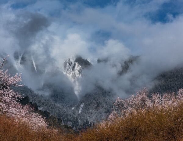 pexels-zhou-shen-18656639
