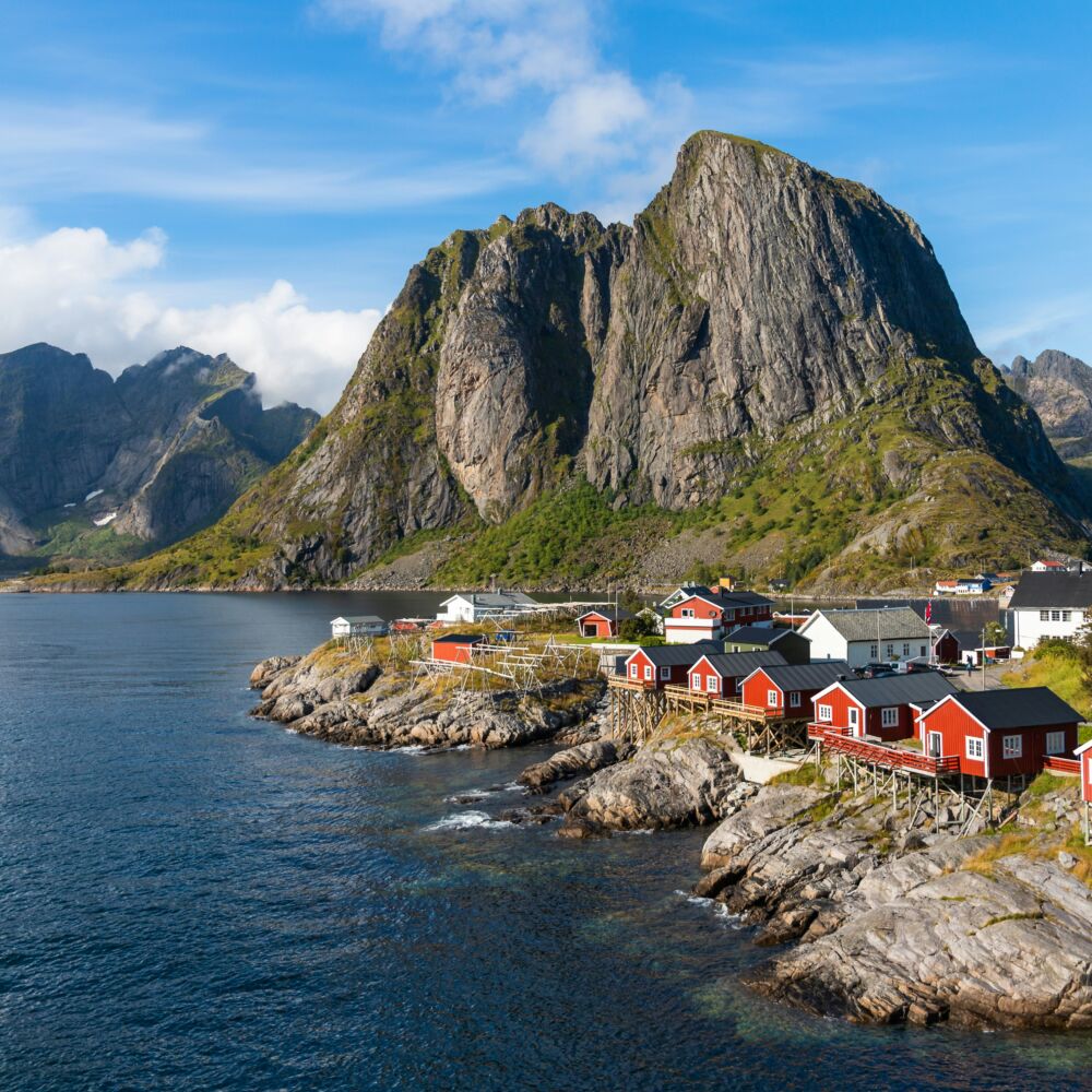 contract research organization