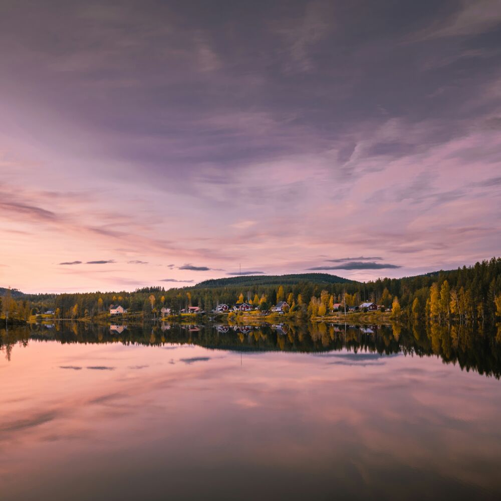 leandra-rieger-K8wU0b5iFyk-unsplash