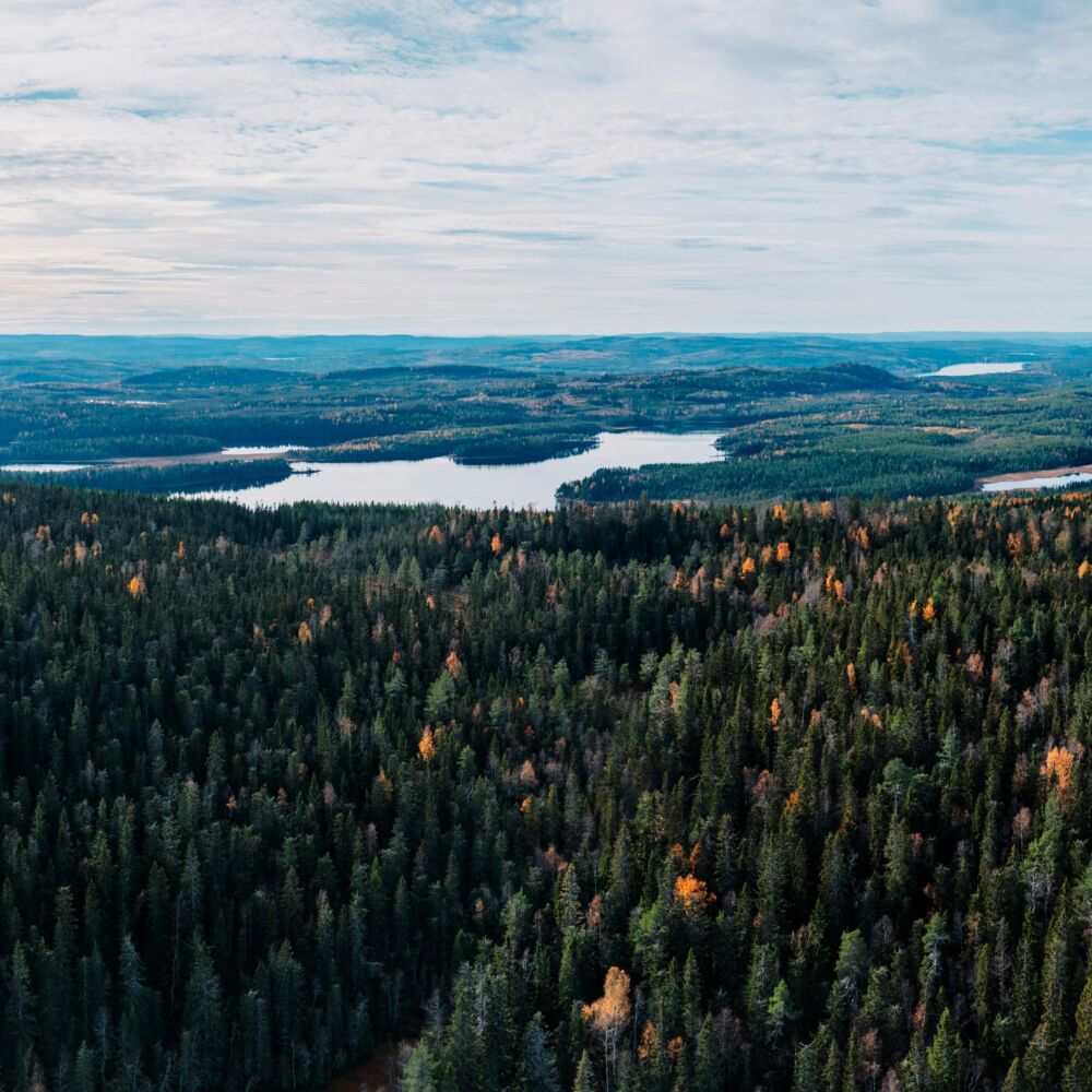 peter-van-der-meulen-BZ4ZuzDsBLI-unsplash