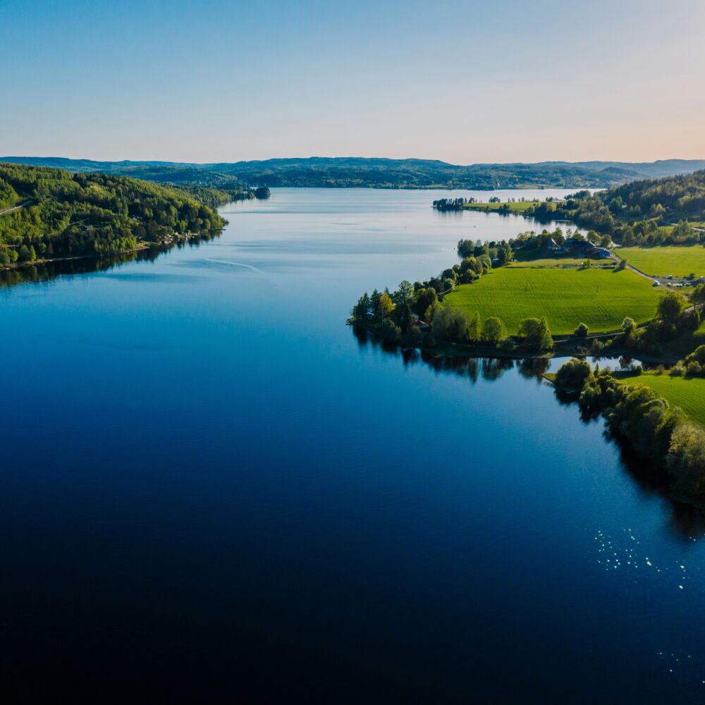 peter-van-der-meulen-o1TfX4vEf2o-unsplash